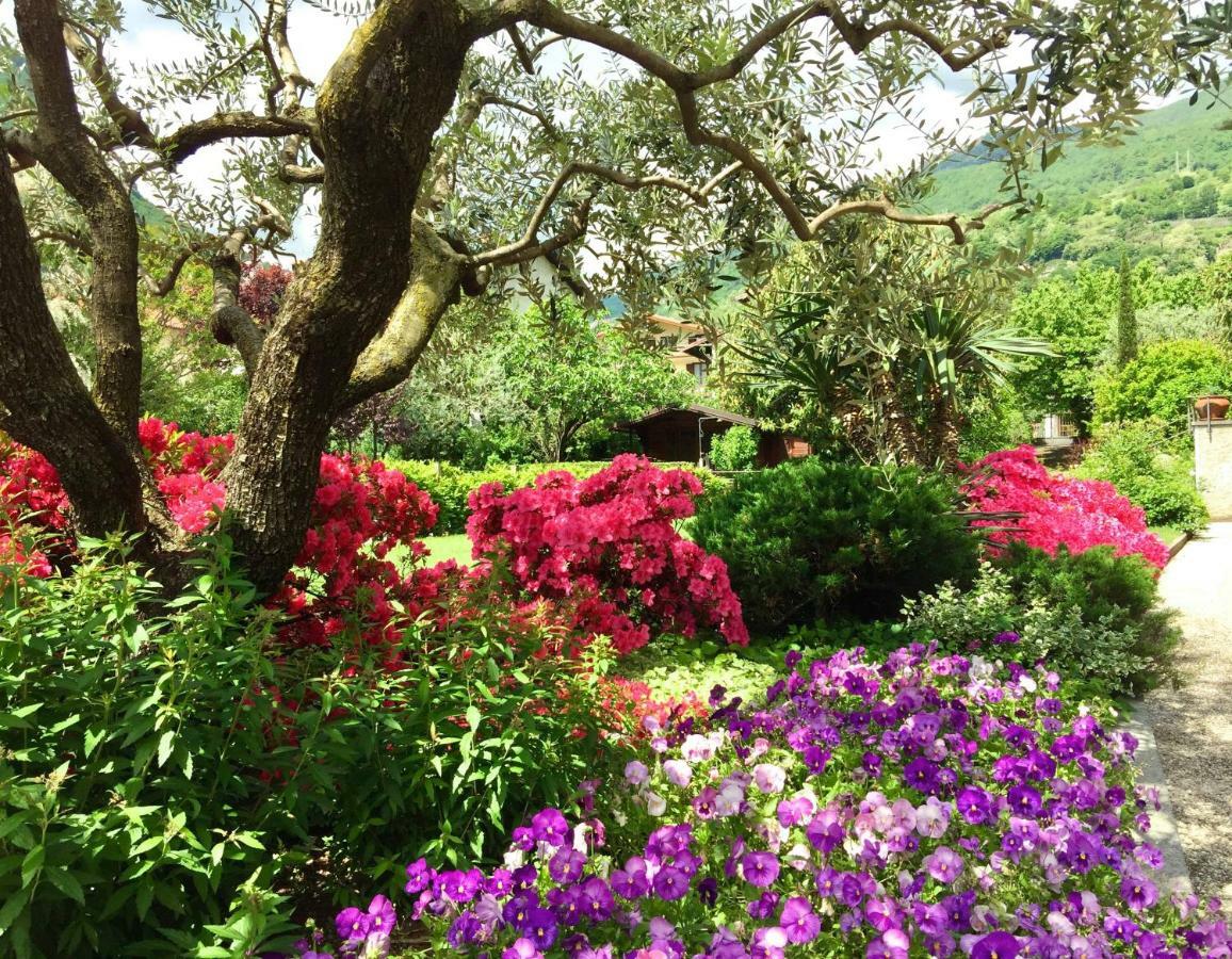 Iris 2 Lago Di Como Dongo Ngoại thất bức ảnh