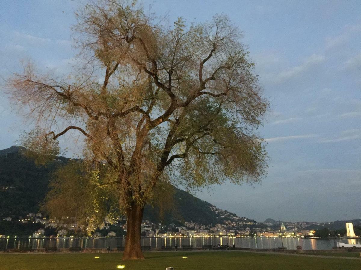 Iris 2 Lago Di Como Dongo Ngoại thất bức ảnh
